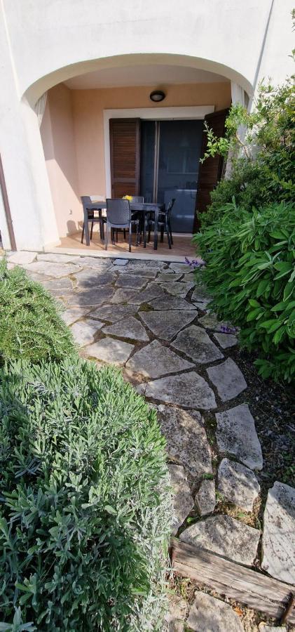 A Casa Di Daniele Apartment Porto Potenza Picena Ngoại thất bức ảnh